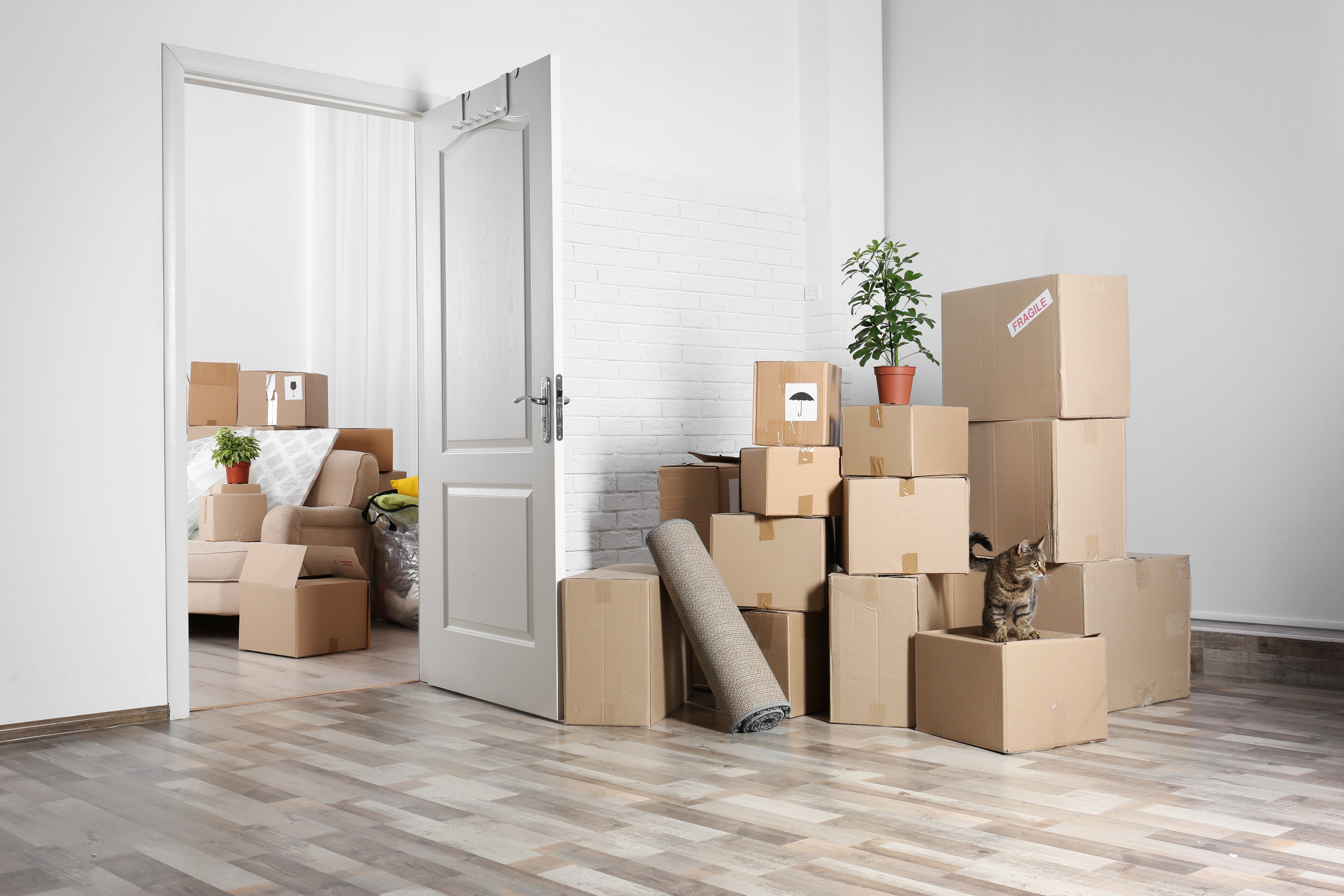 White room stacked with boxes ready for moving home